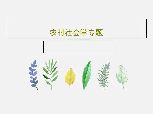 农村社会学专题48页PPT