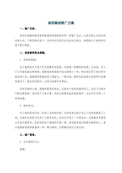 典型案例推广方案