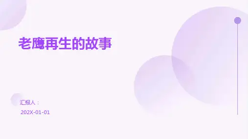 老鹰再生的故事