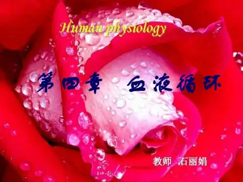 04循环(本)