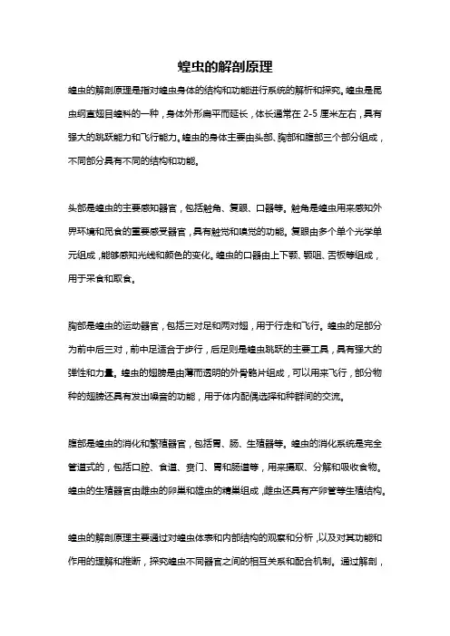 蝗虫的解剖原理
