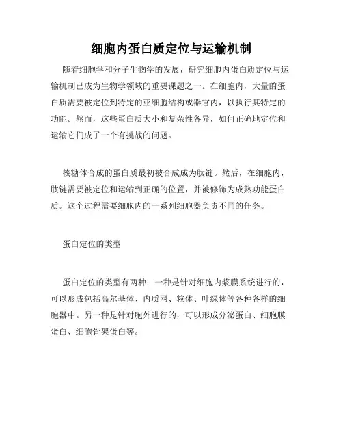 细胞内蛋白质定位与运输机制