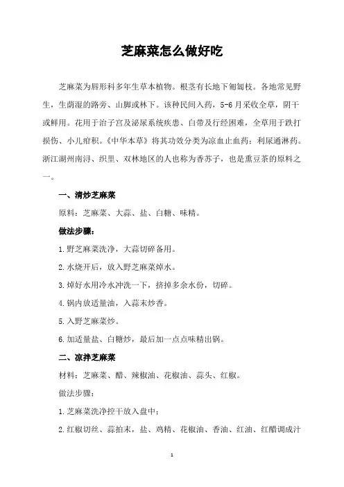 芝麻菜怎么做好吃