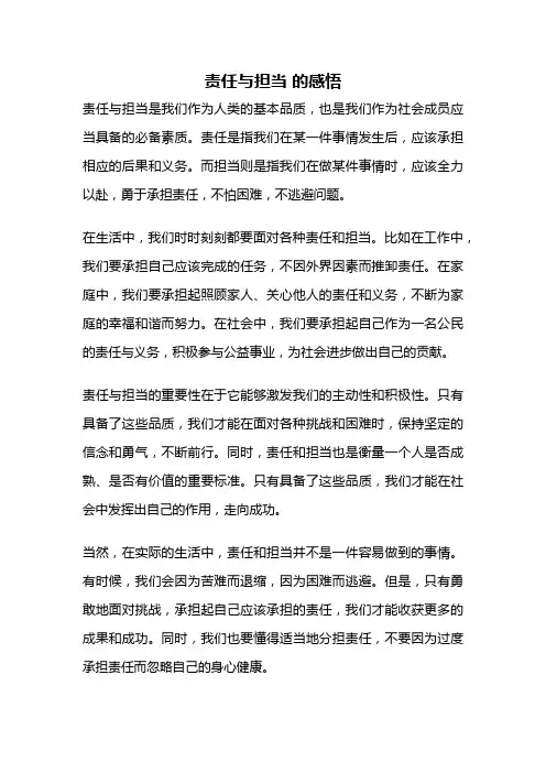 责任与担当 的感悟