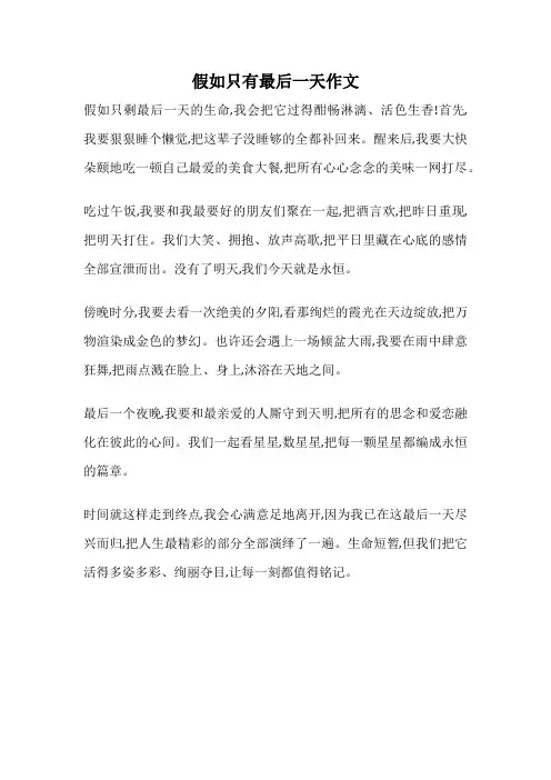 假如只有最后一天作文