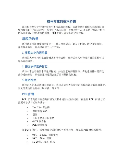 载体构建的基本步骤