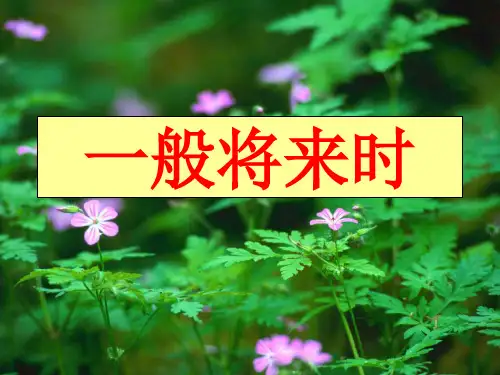 高中英语一般将来时 PPT课件 图文