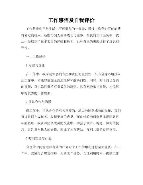 工作感悟及自我评价