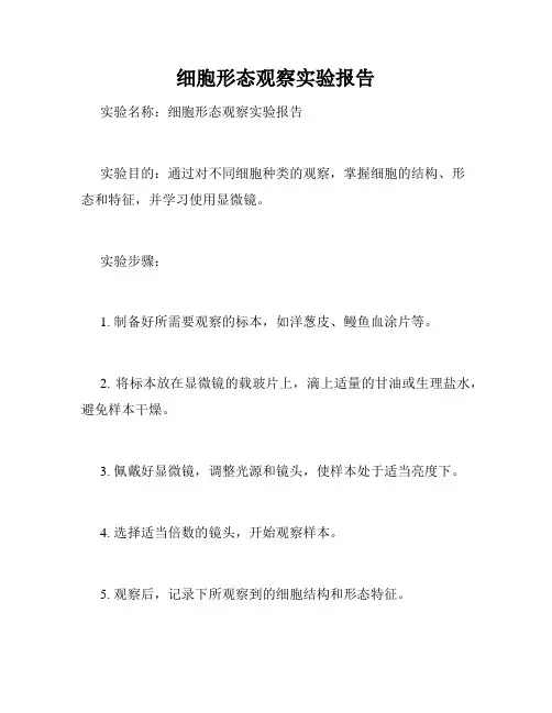 细胞形态观察实验报告