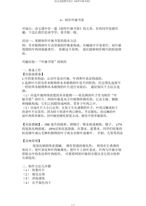 综合实践教案《制作叶脉书签》