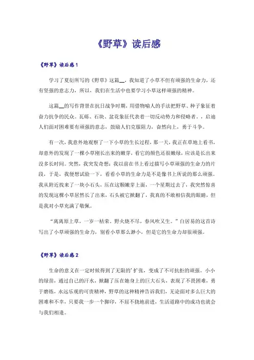 《野草》读后感