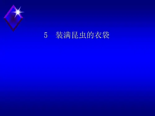 (赛课课件)五年级上册语文《装满昆虫的衣袋》(共32张PPT)