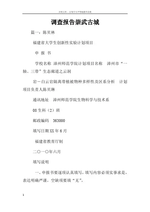 调查报告崇武古城