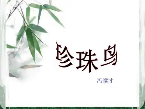 《珍珠鸟》ppt课件(17页)