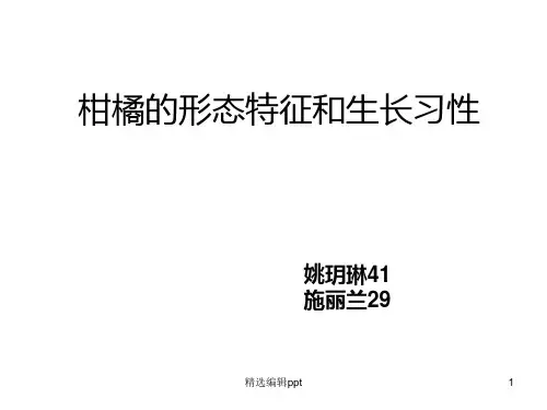 园艺112第三组柑橘的生产技术ppt课件