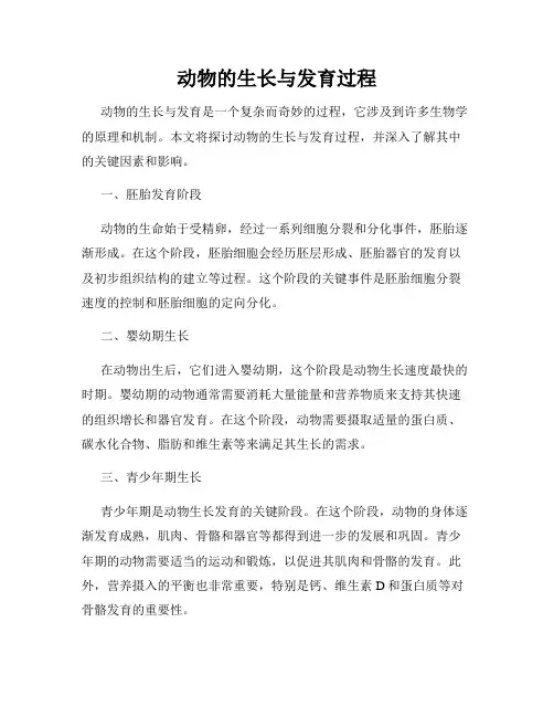 动物的生长与发育过程
