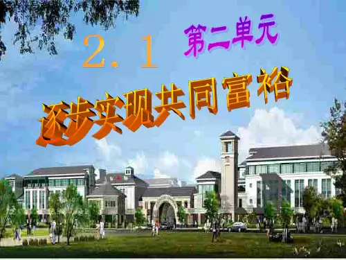 《逐步实现共同富裕》课件3(44页)(粤教版九年级)