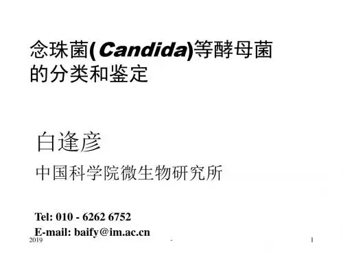 念珠菌等酵母菌的分类鉴定ppt课件