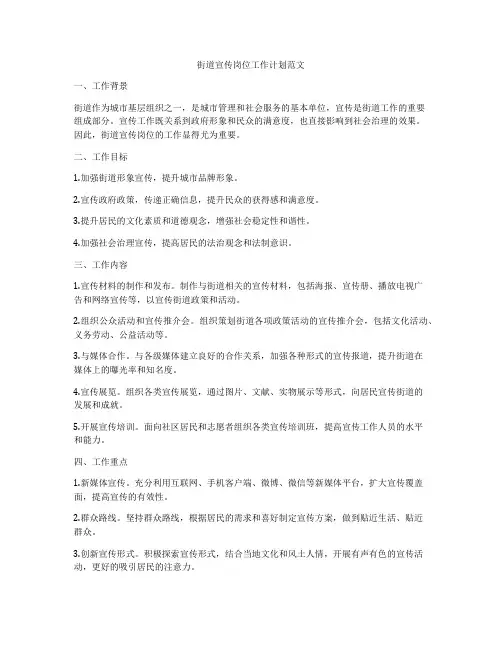 街道宣传岗位工作计划范文