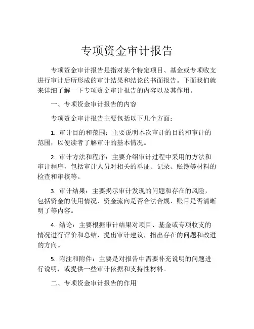 专项资金审计报告