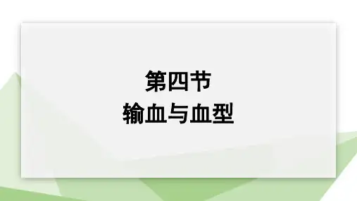 人教部编版七年级生物下册  4.4.4 输血和血型 课件(共18张PPT)