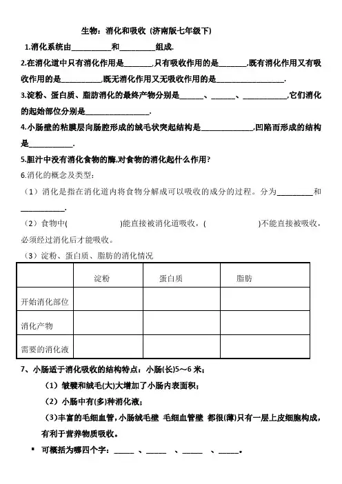 生物：消化和吸收 (济南版七年级下)