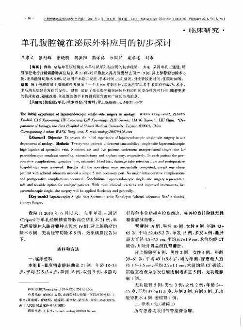 单孔腹腔镜在泌尿外科应用的初步探讨