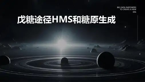 戊糖途径HMS和糖原生成
