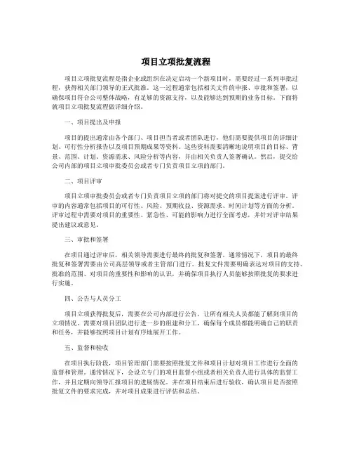 项目立项批复流程