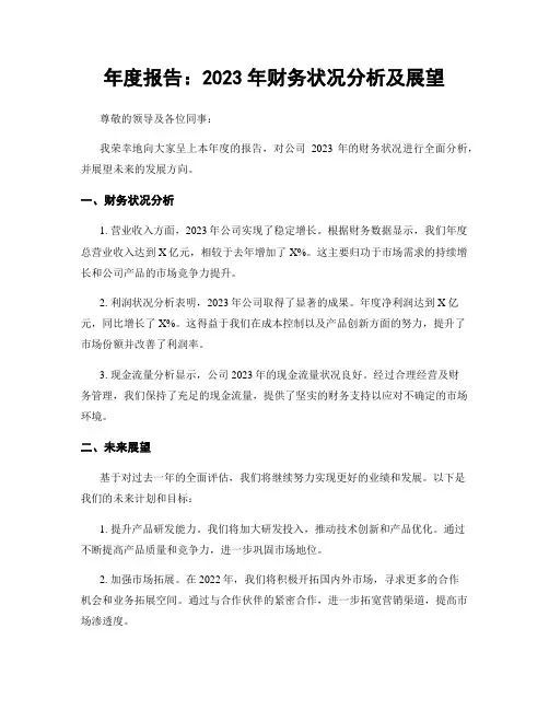 年度报告：2023年财务状况分析及展望