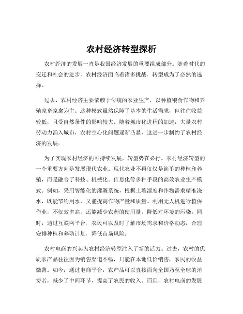 农村经济转型探析