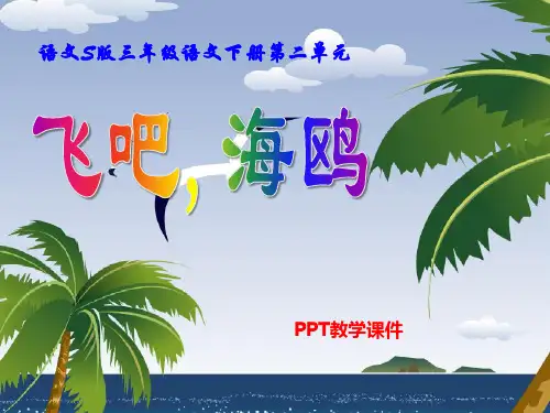 语文三下《飞吧,海鸥》课件