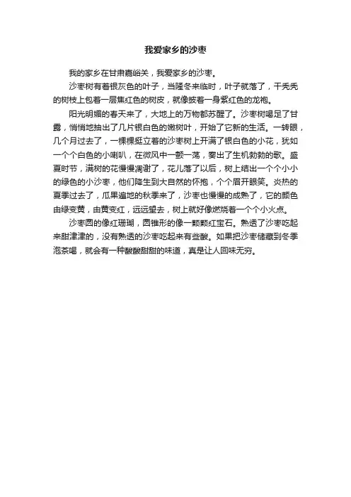 我爱家乡的沙枣