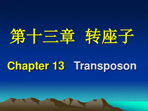 转座子