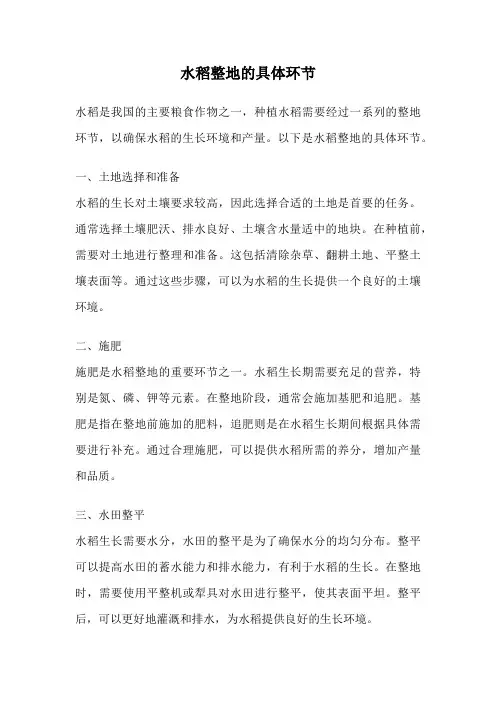 水稻整地的具体环节