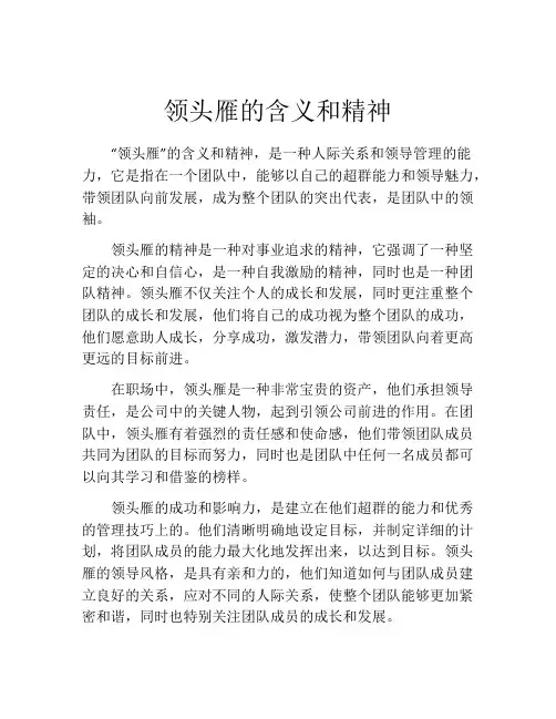 领头雁的含义和精神