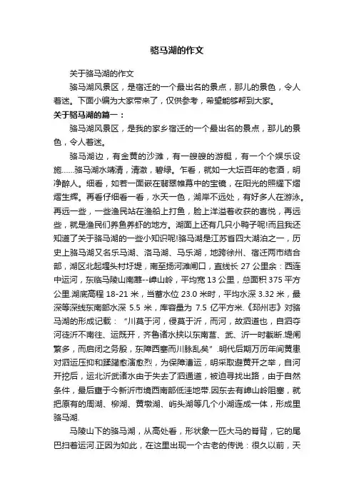 关于骆马湖的作文