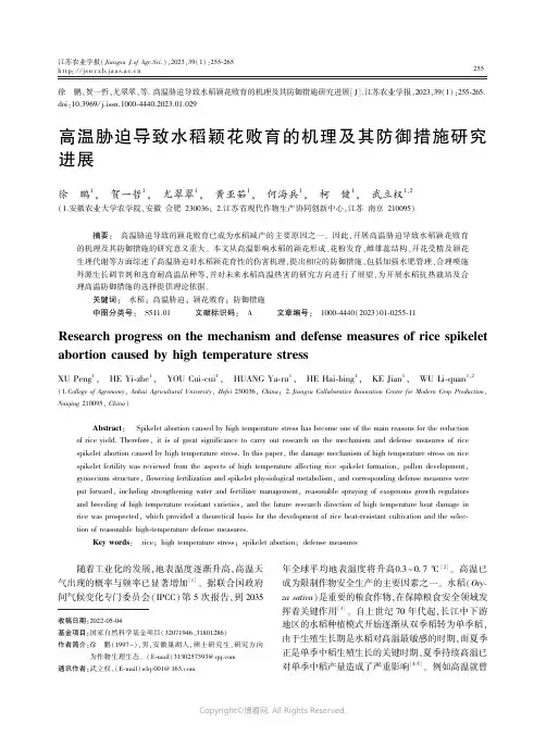 高温胁迫导致水稻颖花败育的机理及其防御措施研究进展