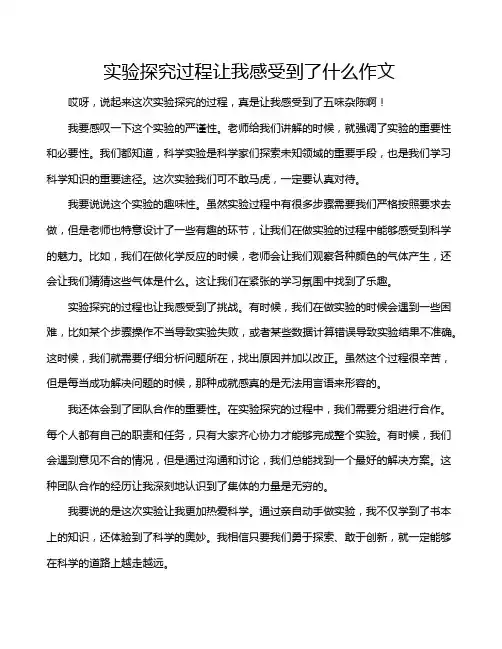 实验探究过程让我感受到了什么作文