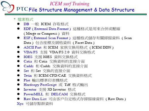 icemsurf 文件数据结构