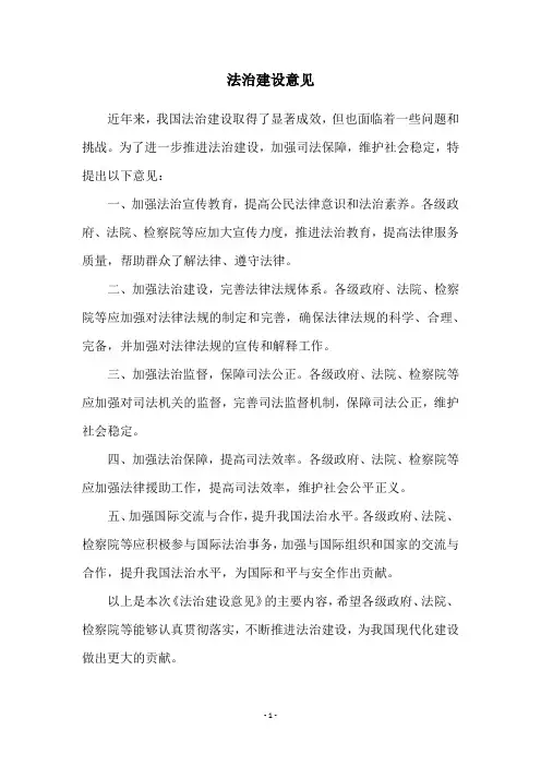 法治建设意见