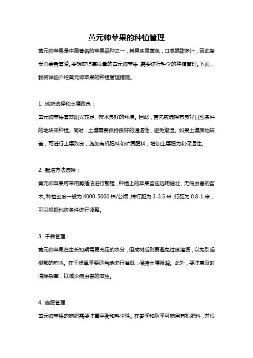 黄元帅苹果的种植管理