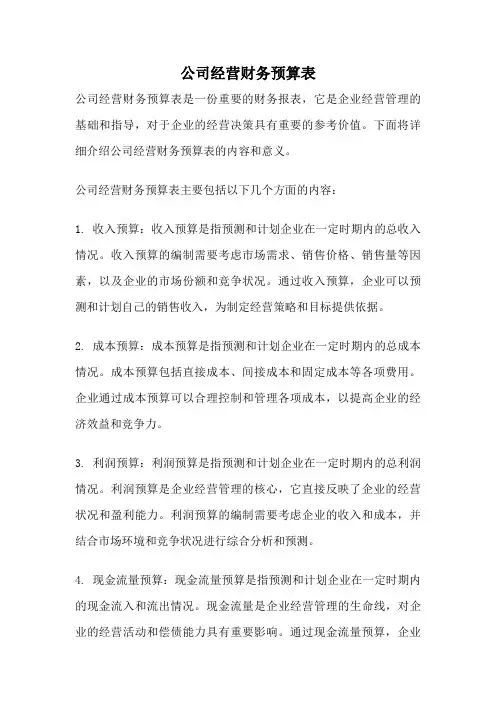 公司经营财务预算表
