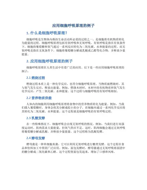 应用细胞呼吸原理的例子