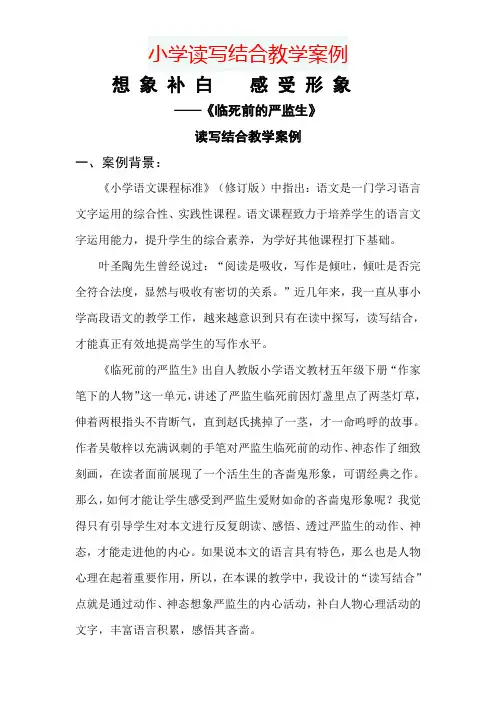 小学读写结合教学案例
