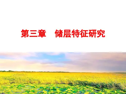 沉积微相研究