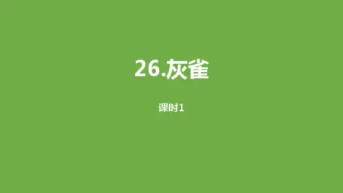《灰雀》第1课时三年级上册语文PPT课件