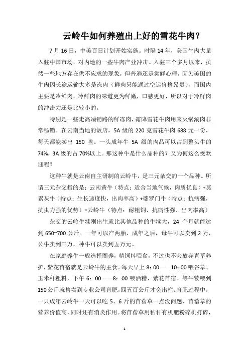 云岭牛如何养殖出上好的雪花牛肉？