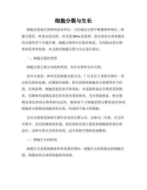 细胞分裂与生长