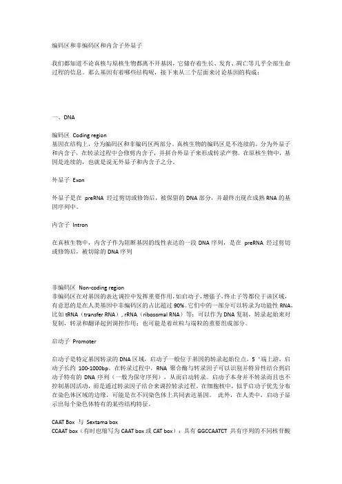 编码区和非编码区和内含子外显子